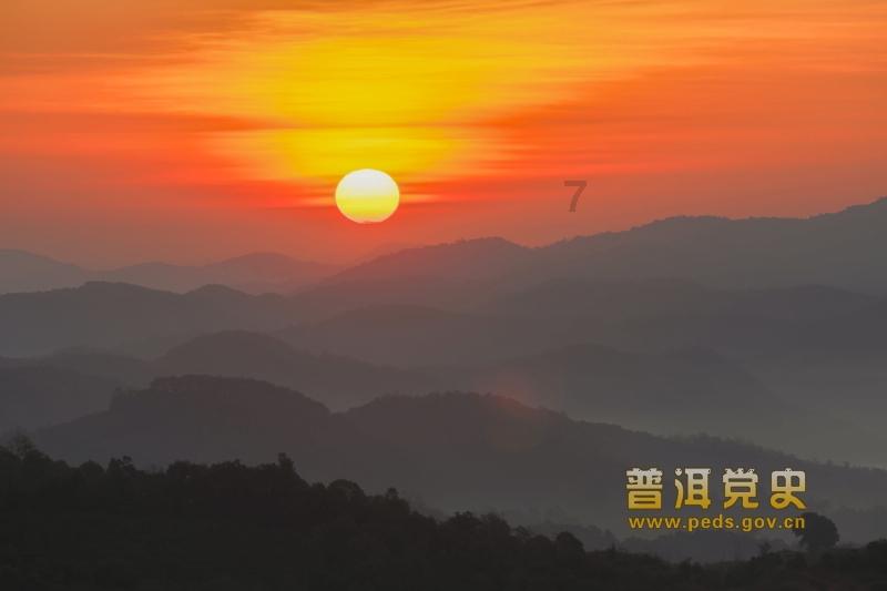 动物帮帮忙保卫家园