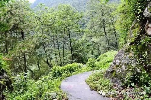 引球进框选关版