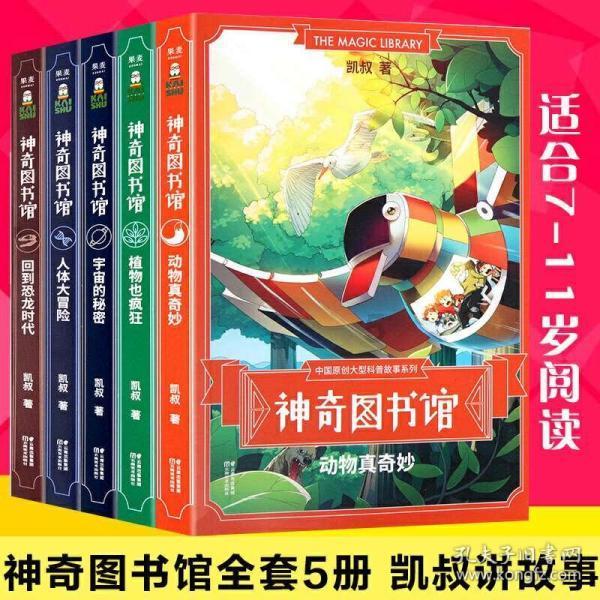 组装机械盔头龙2