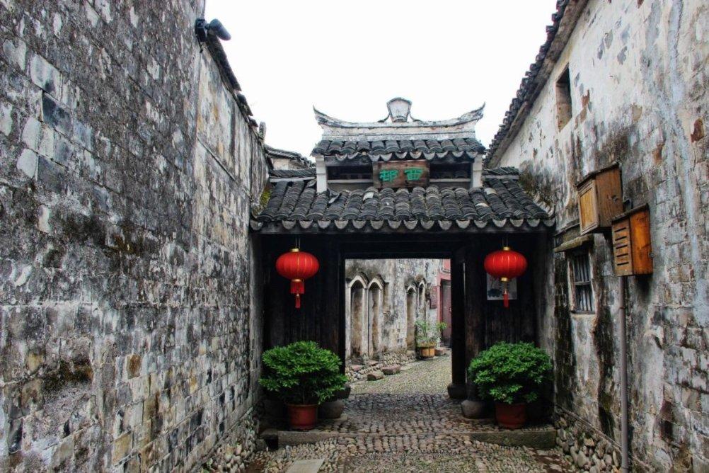 救援小棕兔
