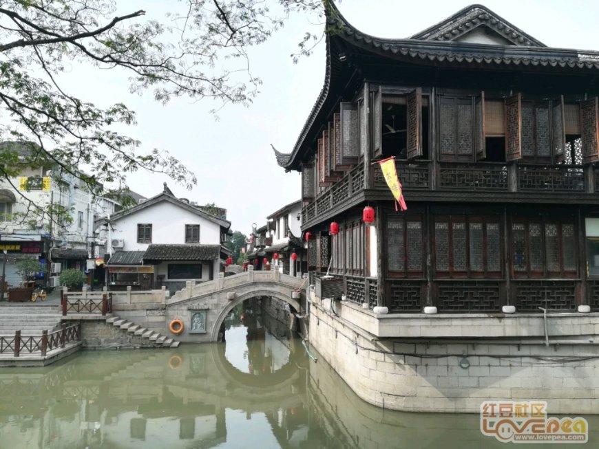 动物帮帮忙保卫家园